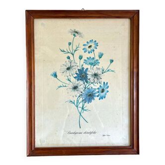 Vintage botanical board frame with blue flowers