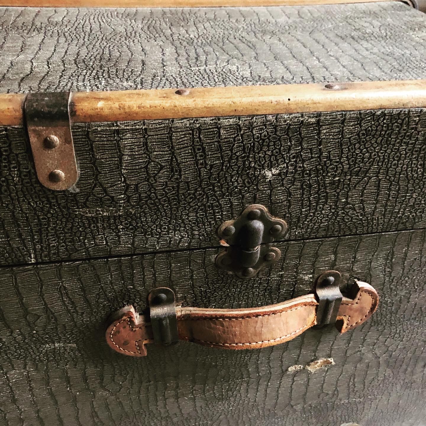 Old trunk