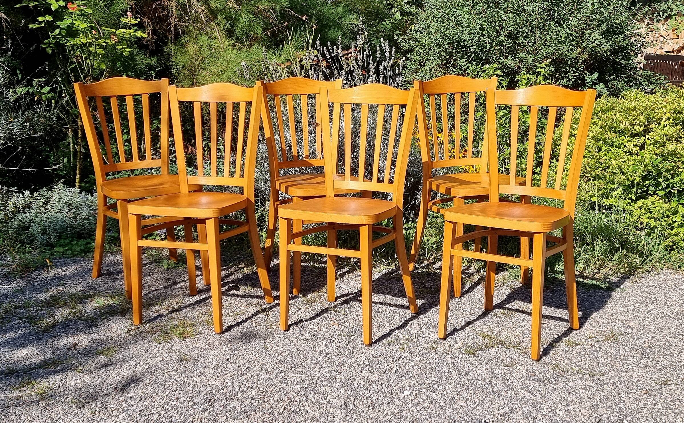 6 bistro chairs in curved beech from the 70s