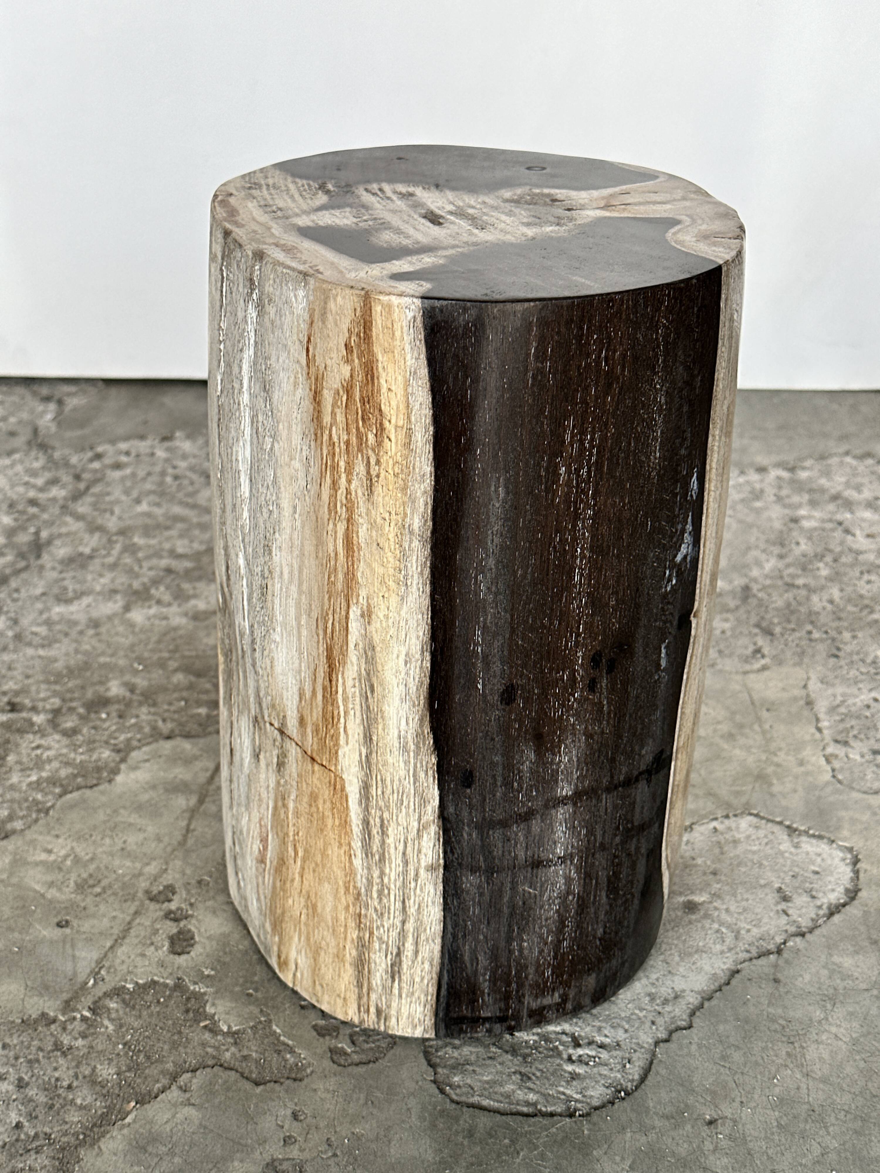 Small black, white and gray petrified wood side table H28cm D:18.5