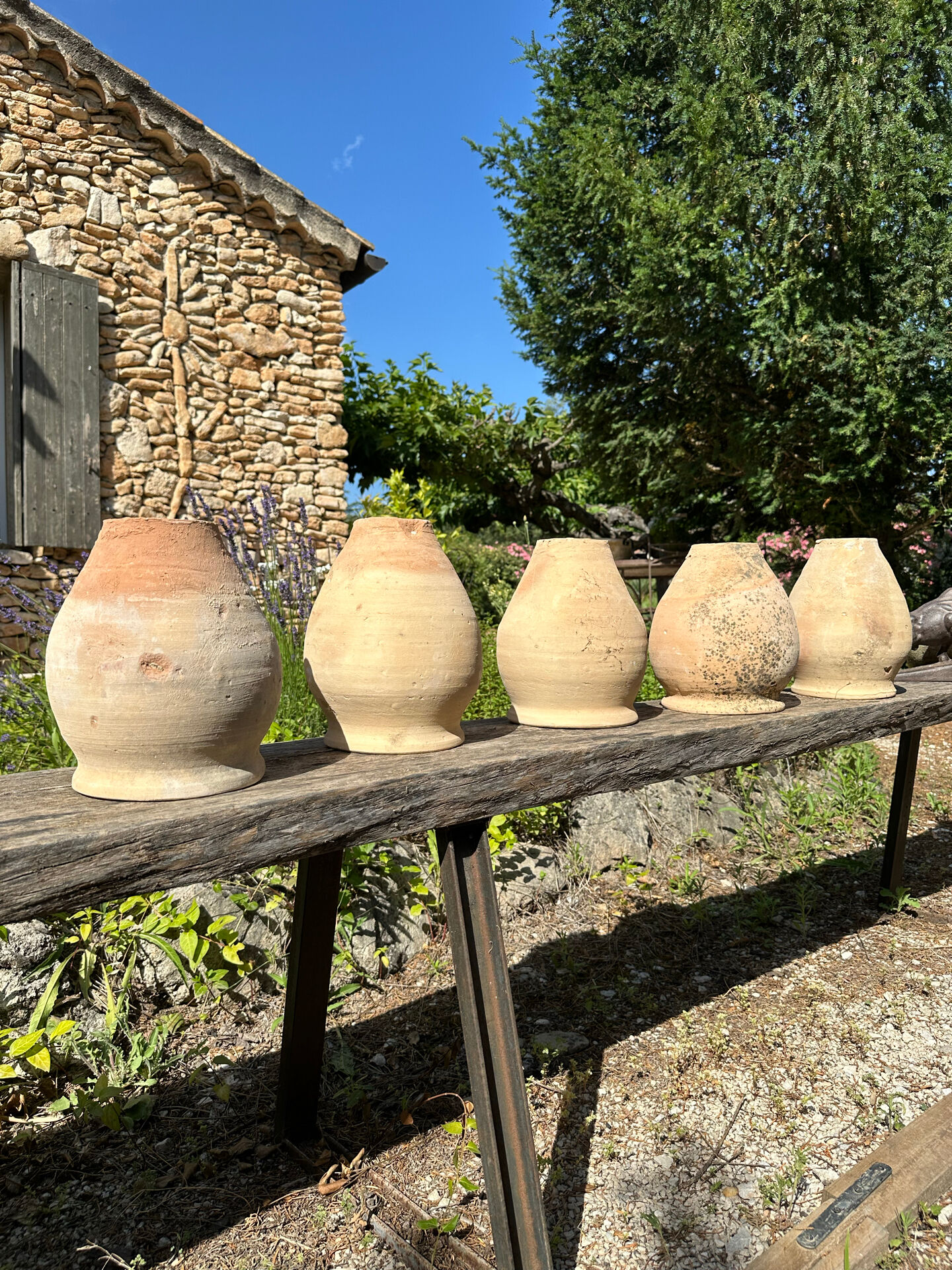 Terracotta paloma pot