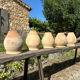 Terracotta paloma pot