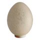 Lampe oeuf en verre