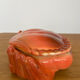 Terrine box "crab" Michel Caugant