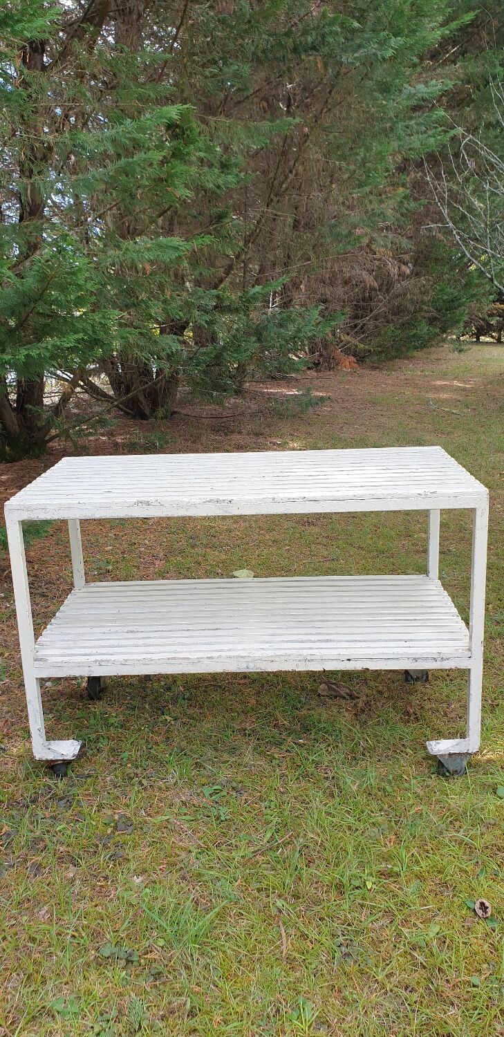 Butcher's trolley, professional furniture