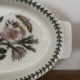 Plate Portmeirion England The Botanic Garden