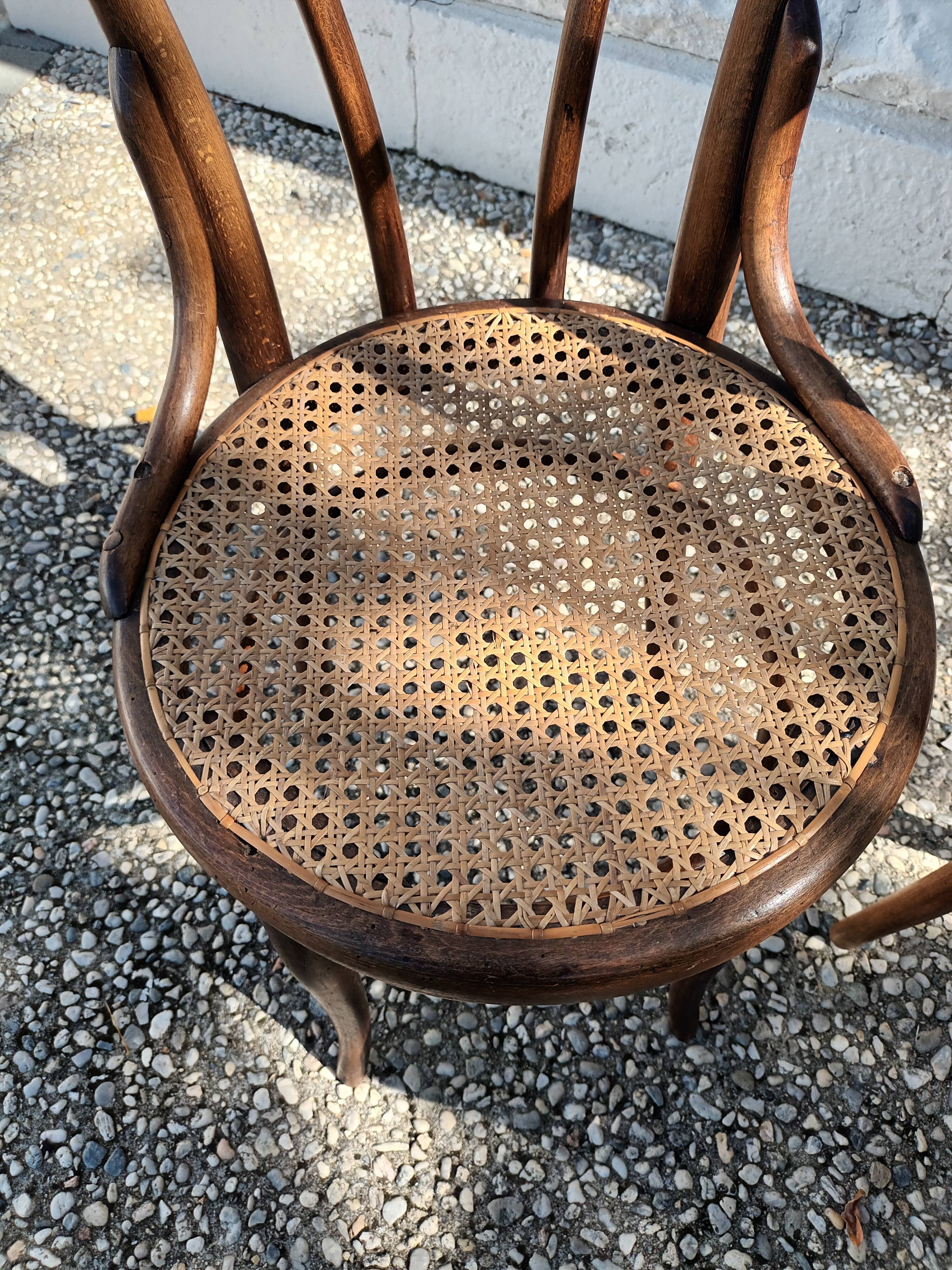 Chairs Thonet