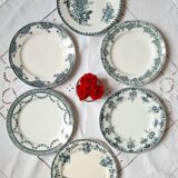 Old flat plates mismatched in iron earth accompanied by a serving dish