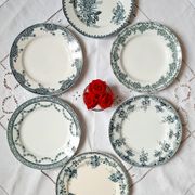Old flat plates mismatched in iron earth accompanied by a serving dish