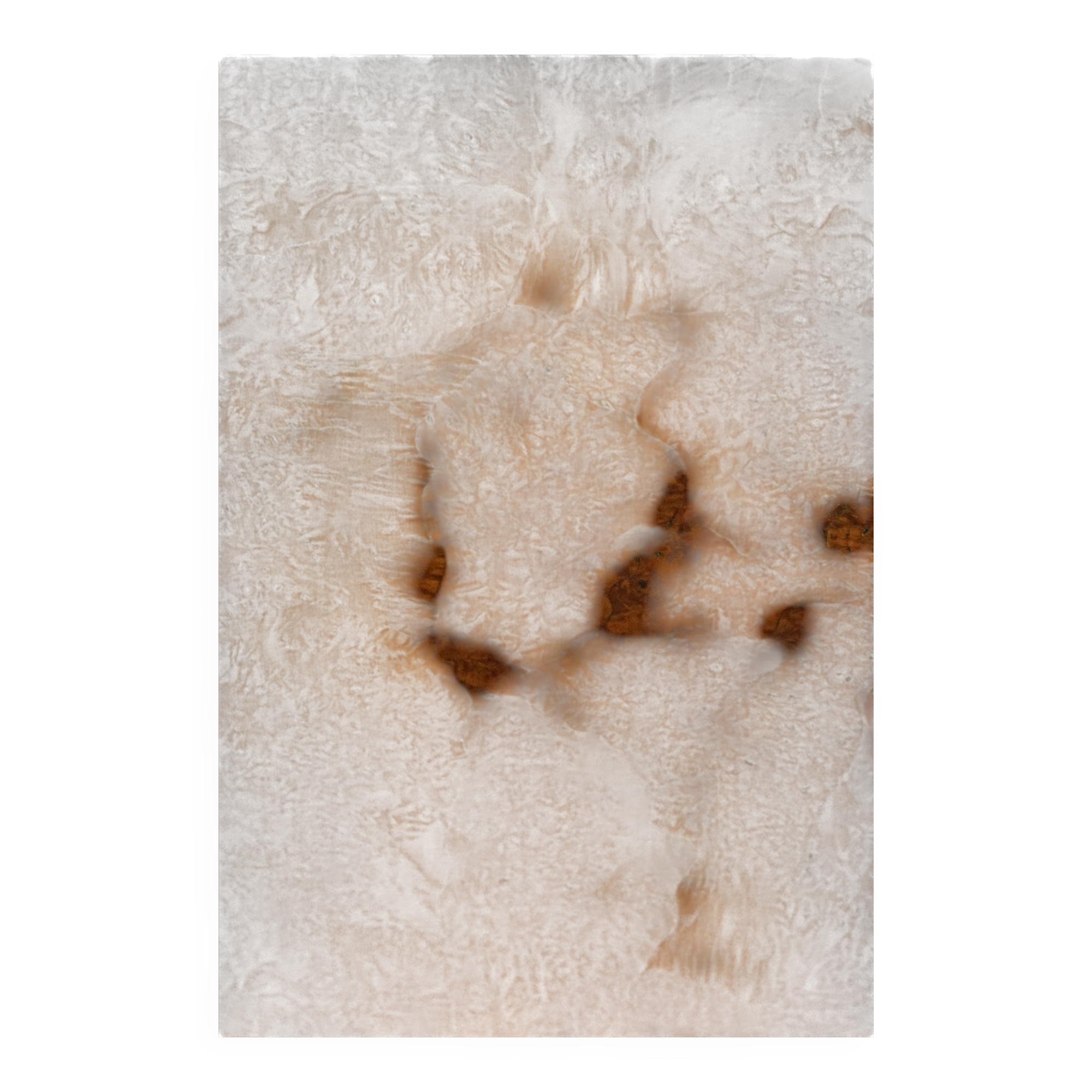 Antique handcrafted square table with drop leaves made of burl wood, Swedish, 19th century.