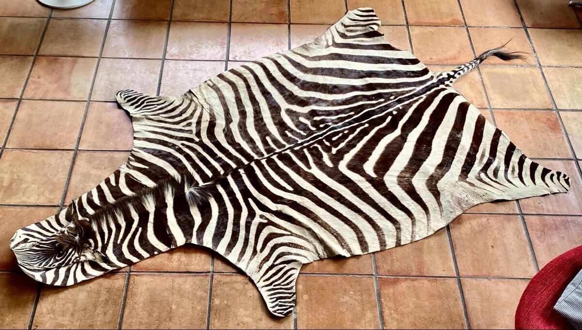 Real zebra skin