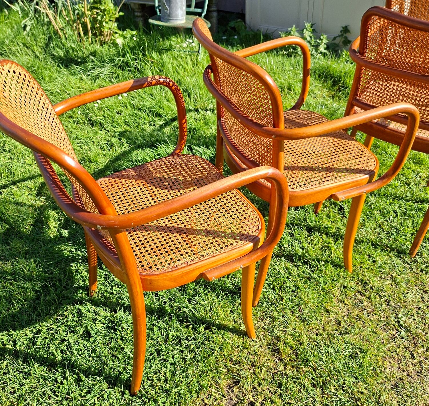Lot de 4 fauteuils Prague 811 de Thonet