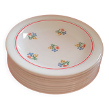 Set of 9 Gien Plates. Small flowers.