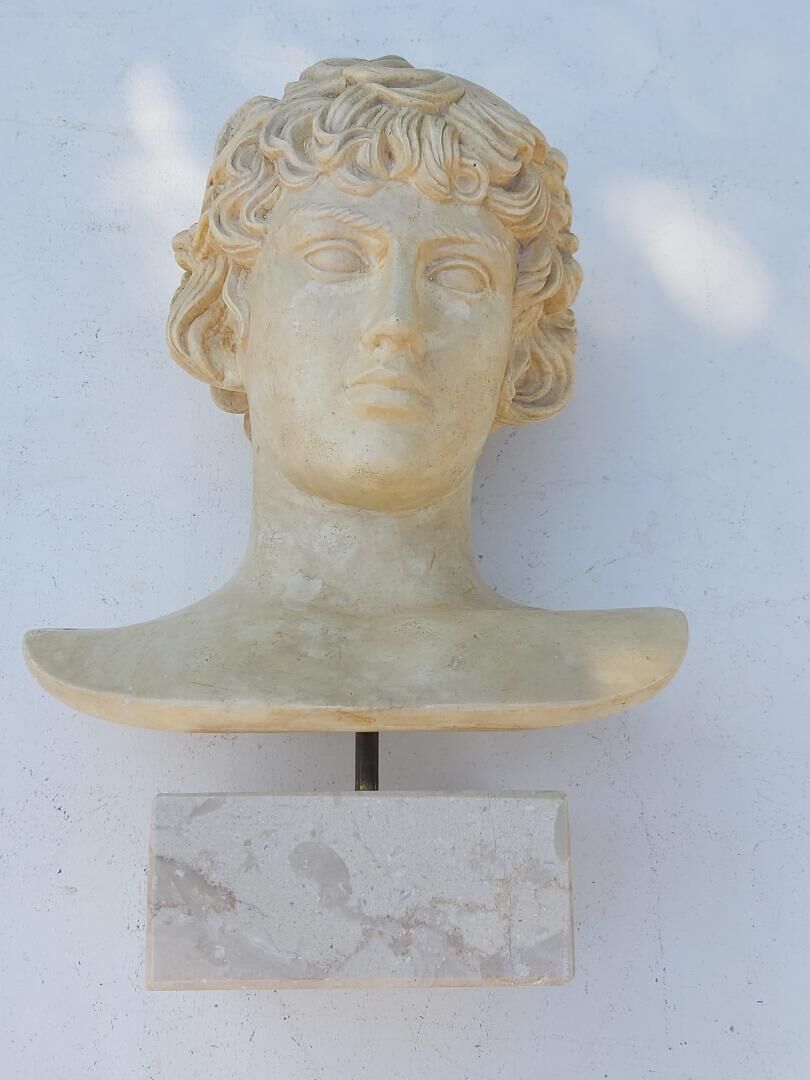 Plaster and marble bust