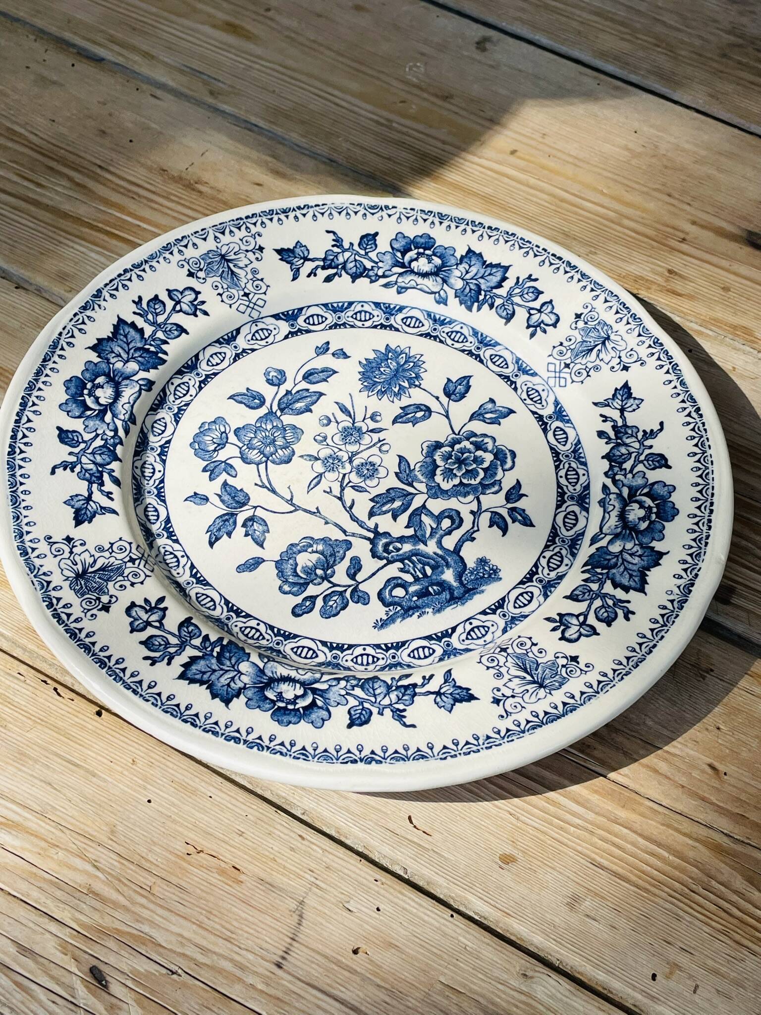 English-style Lunéville dinner plate