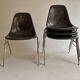 Ensemble de 4 chaises DSS  Charles et Rey Eames pour Herman Miller 1950