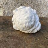 Biscuit child's head