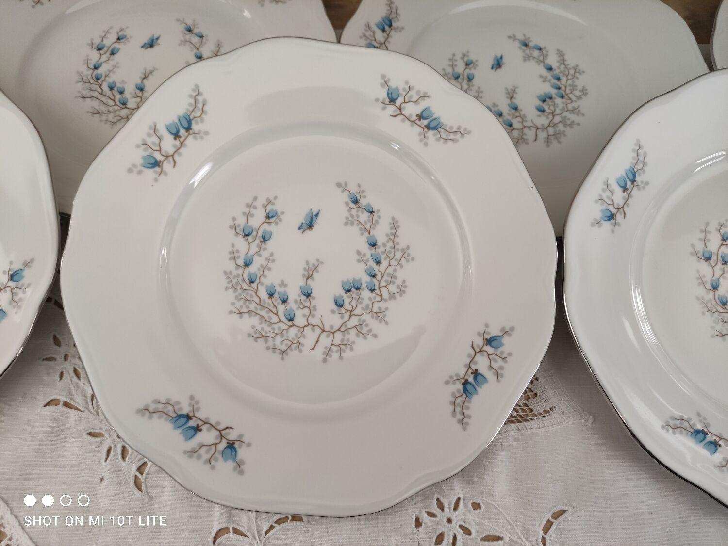 Lot de 7 assiettes plates en porcelaine Czecoslovakia modèle Bohemia