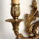 Pair of bronze double wall lights