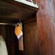 Antique wardrobe