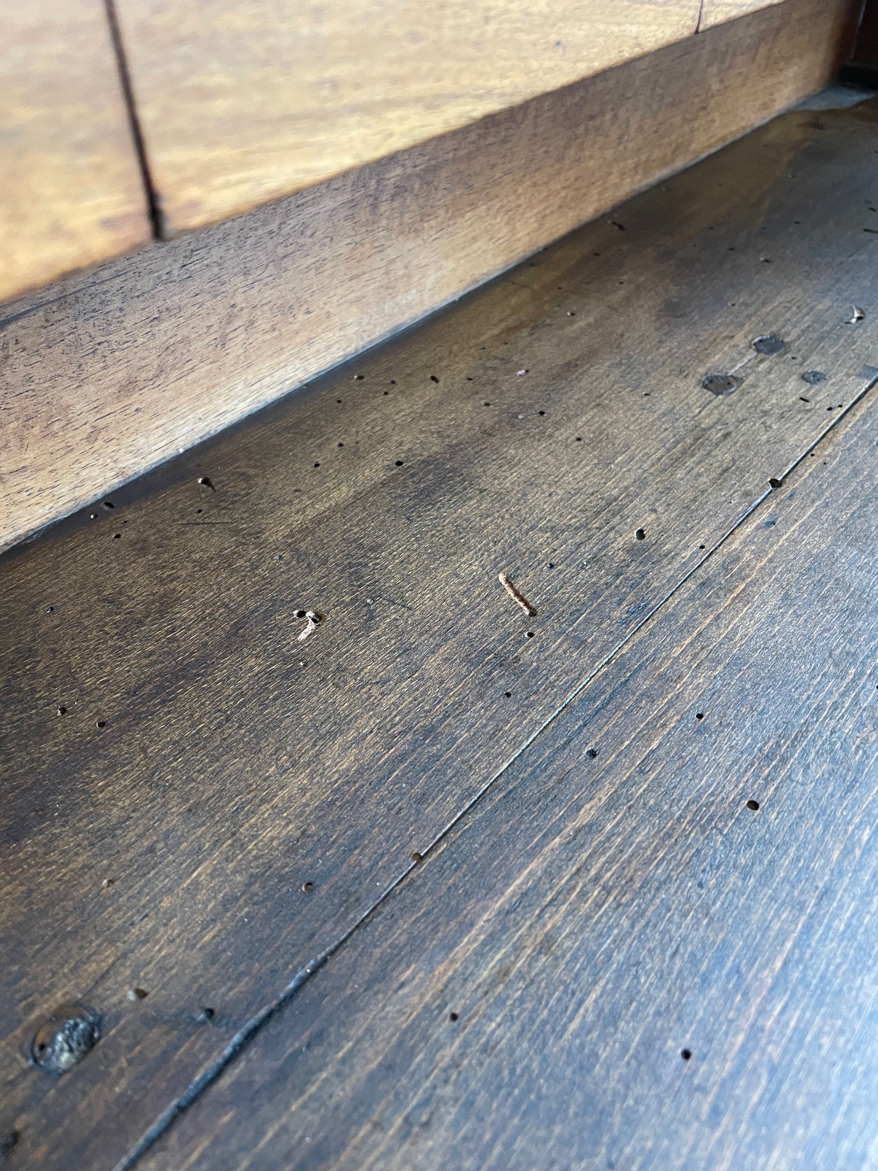 Establishment of jeweler XIXth oak