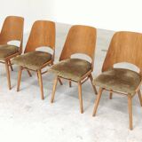Set of 4 chairs model 514 by Radomir Hofman for Ton 1960