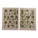 Set of 5 lithographs on trees, forest and orchard (reserved)