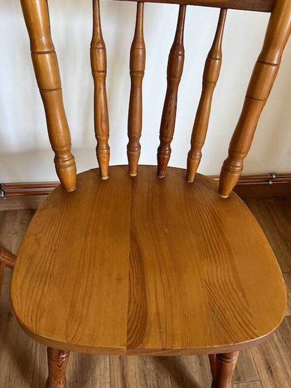 Paire de chaises western