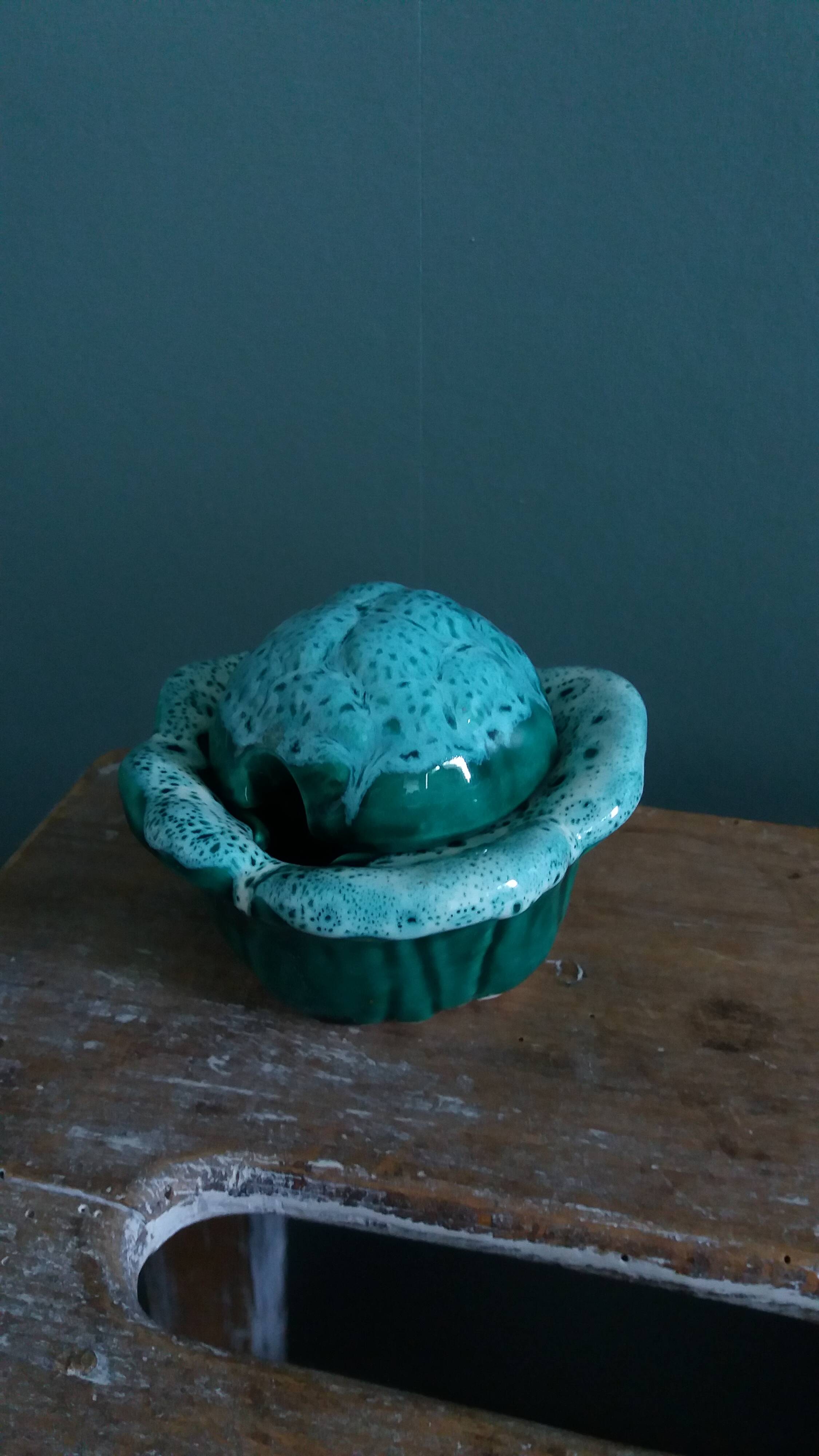 Cabbage mustard pot in slip