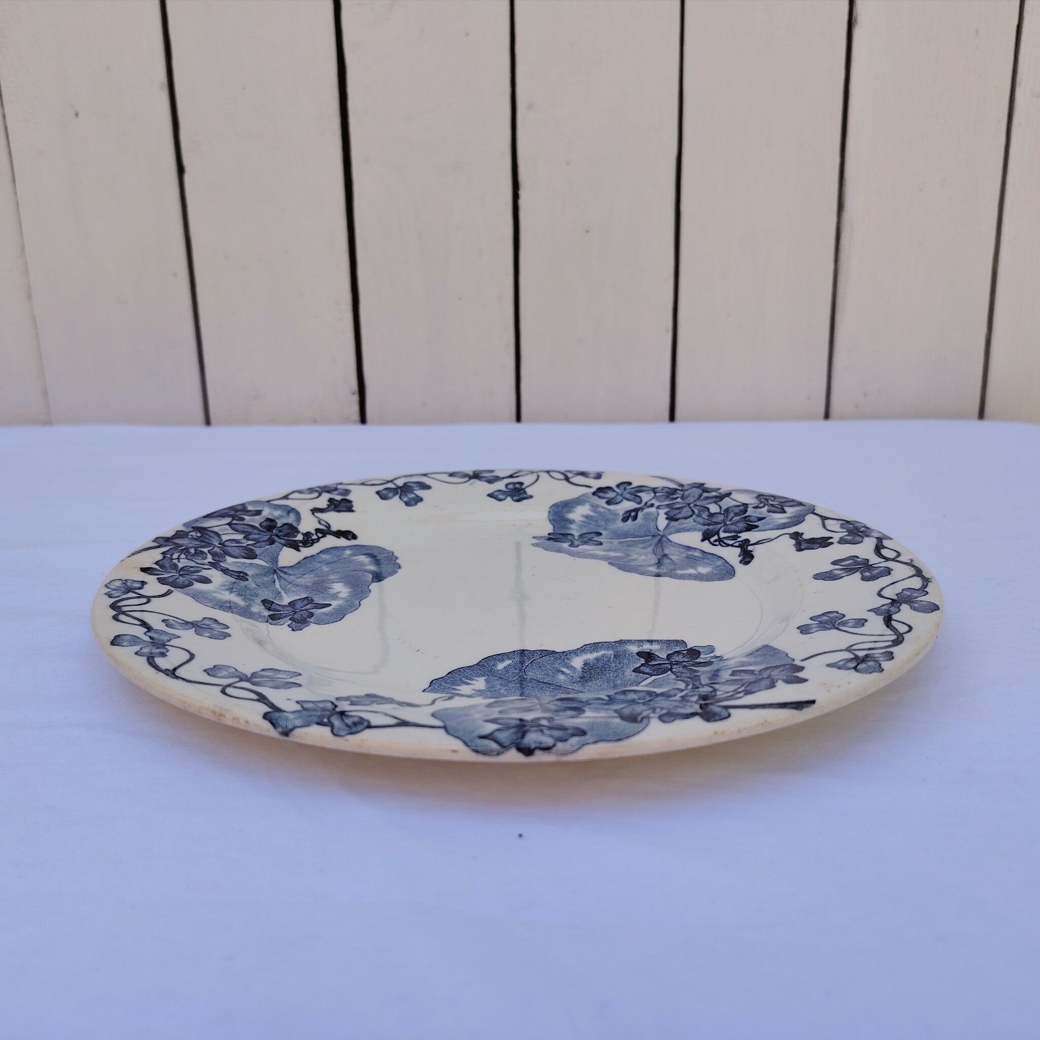 Plates, the salt shakers model the violets, ironstone.