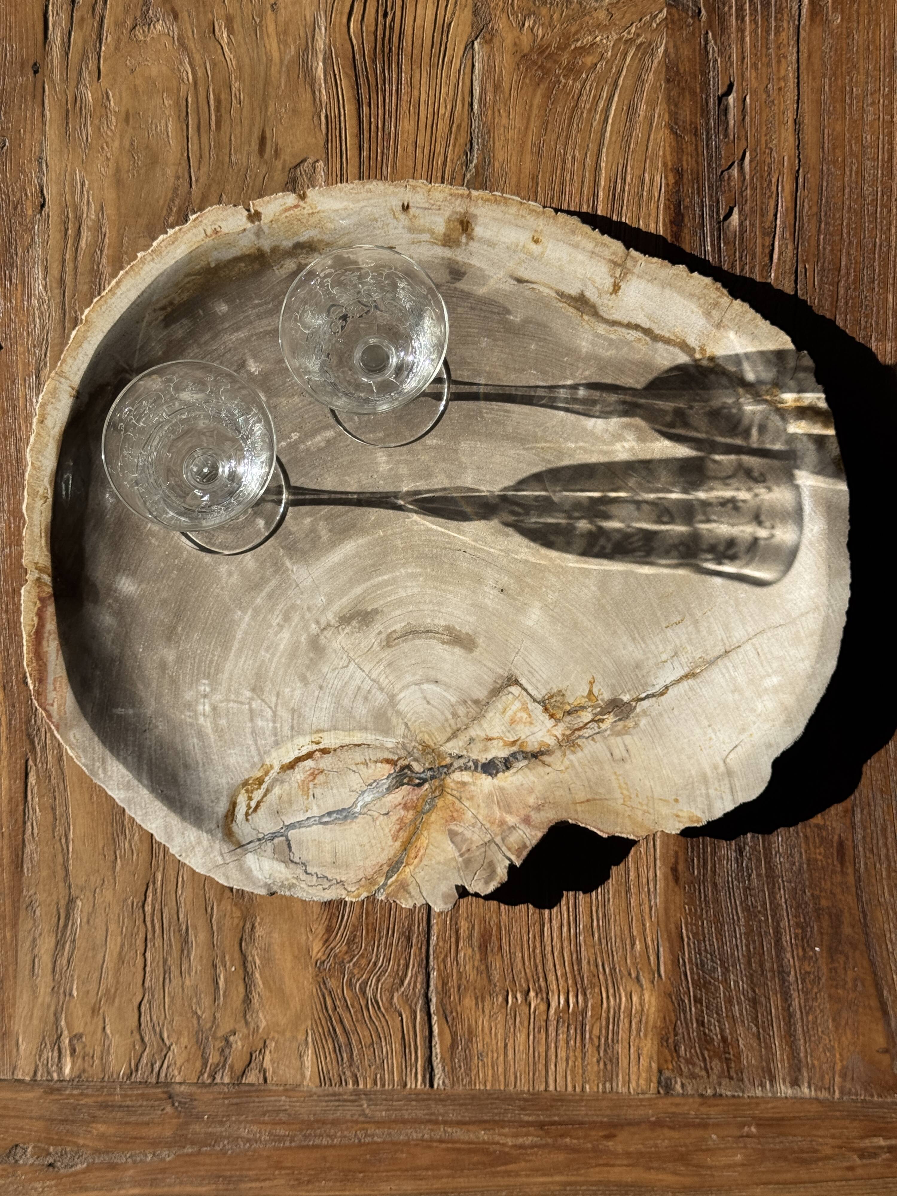 Very large pocket tray or dish in beige petrified wood D35