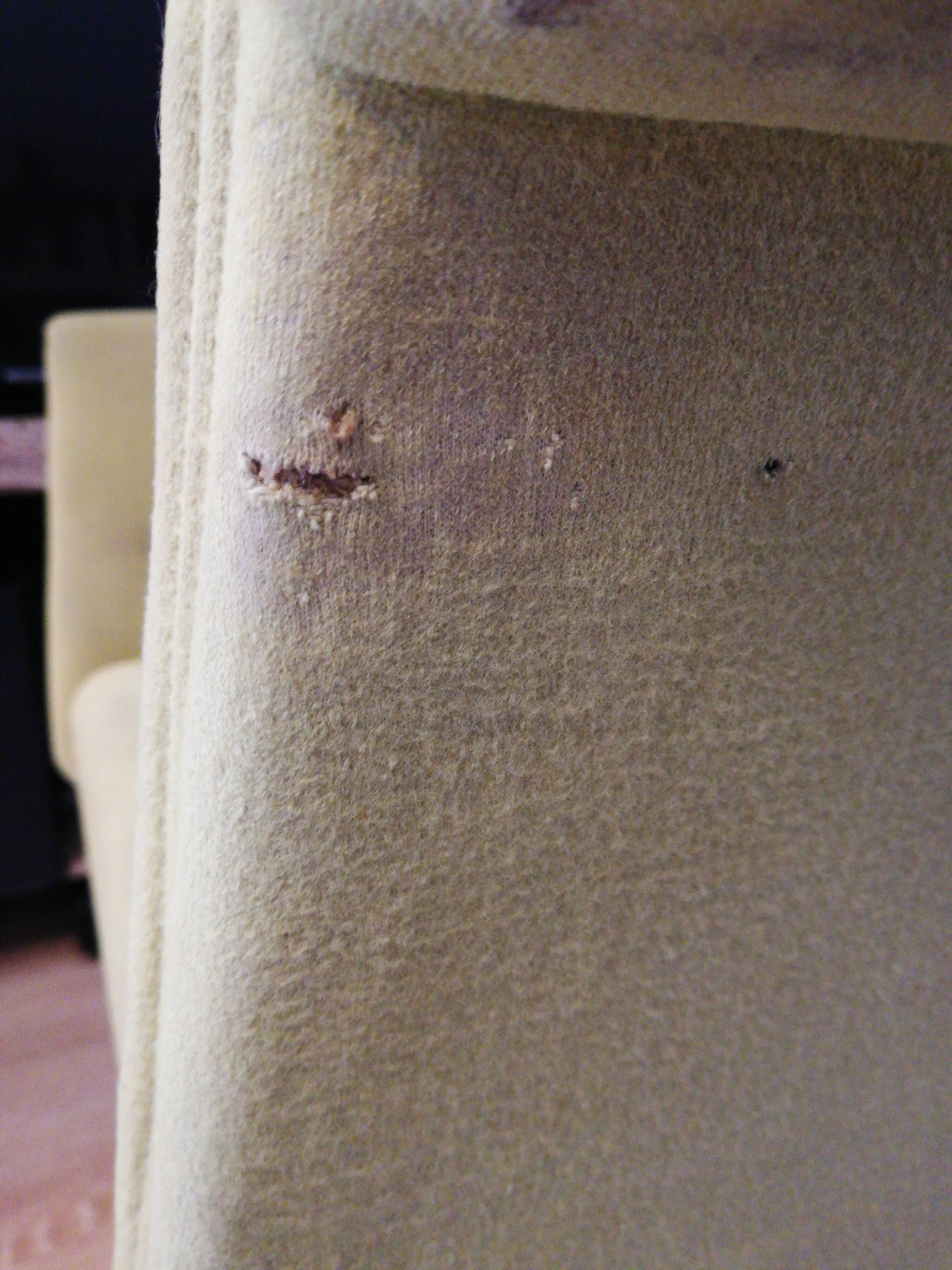 Joseph André Motte's swivel Prism chair for Steiner