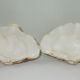 Clamshell geant/clam/Collectible shell/aquarium