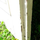 80.5x230cm communication door