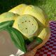 Hand-painted lemon barbotine pitcher vintage Italy