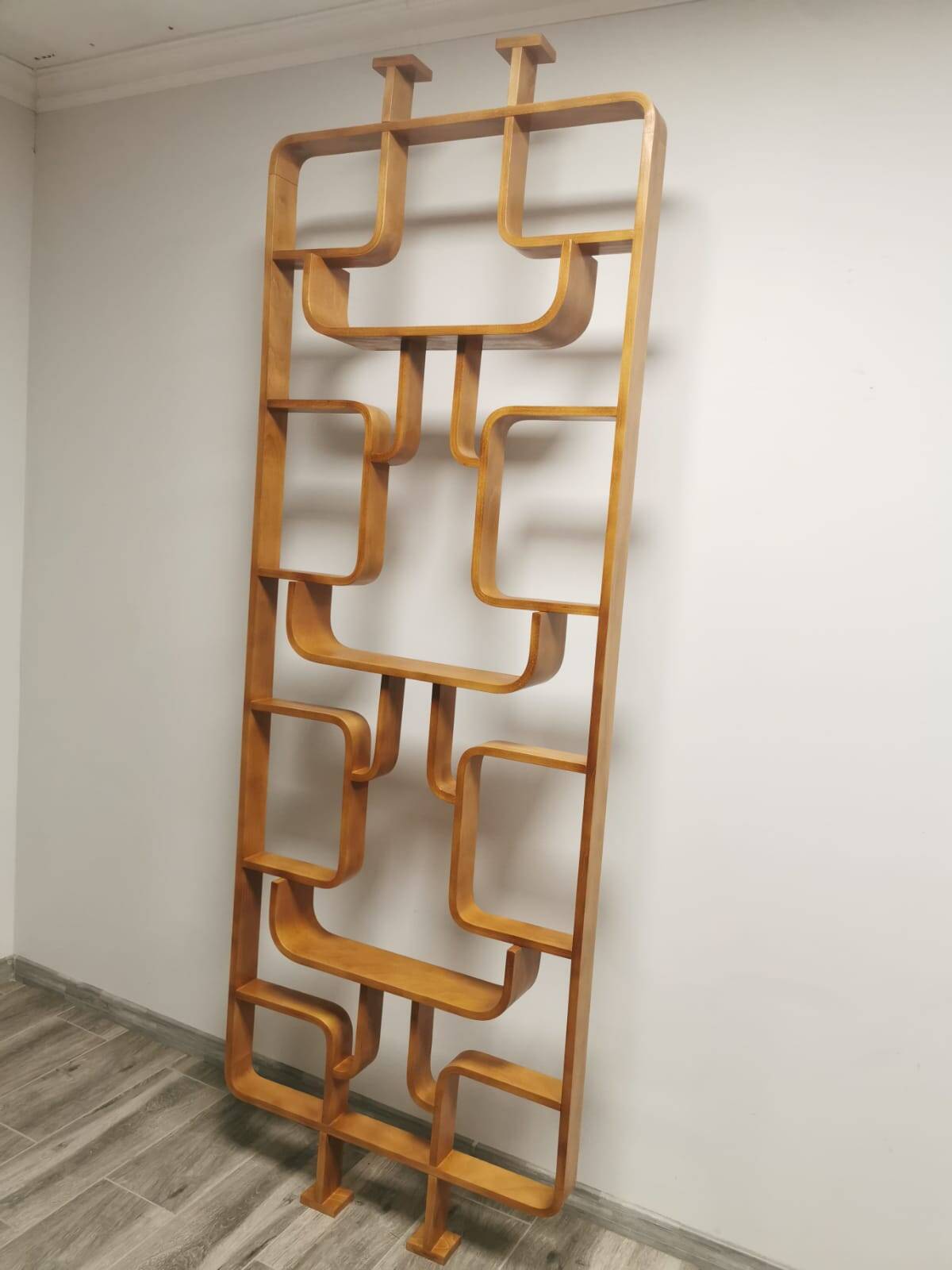 Room Dividers by Ludvik Volak for Drevopodnik Holesov, 1950s, Set of 2