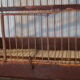 Cage à oiseaux