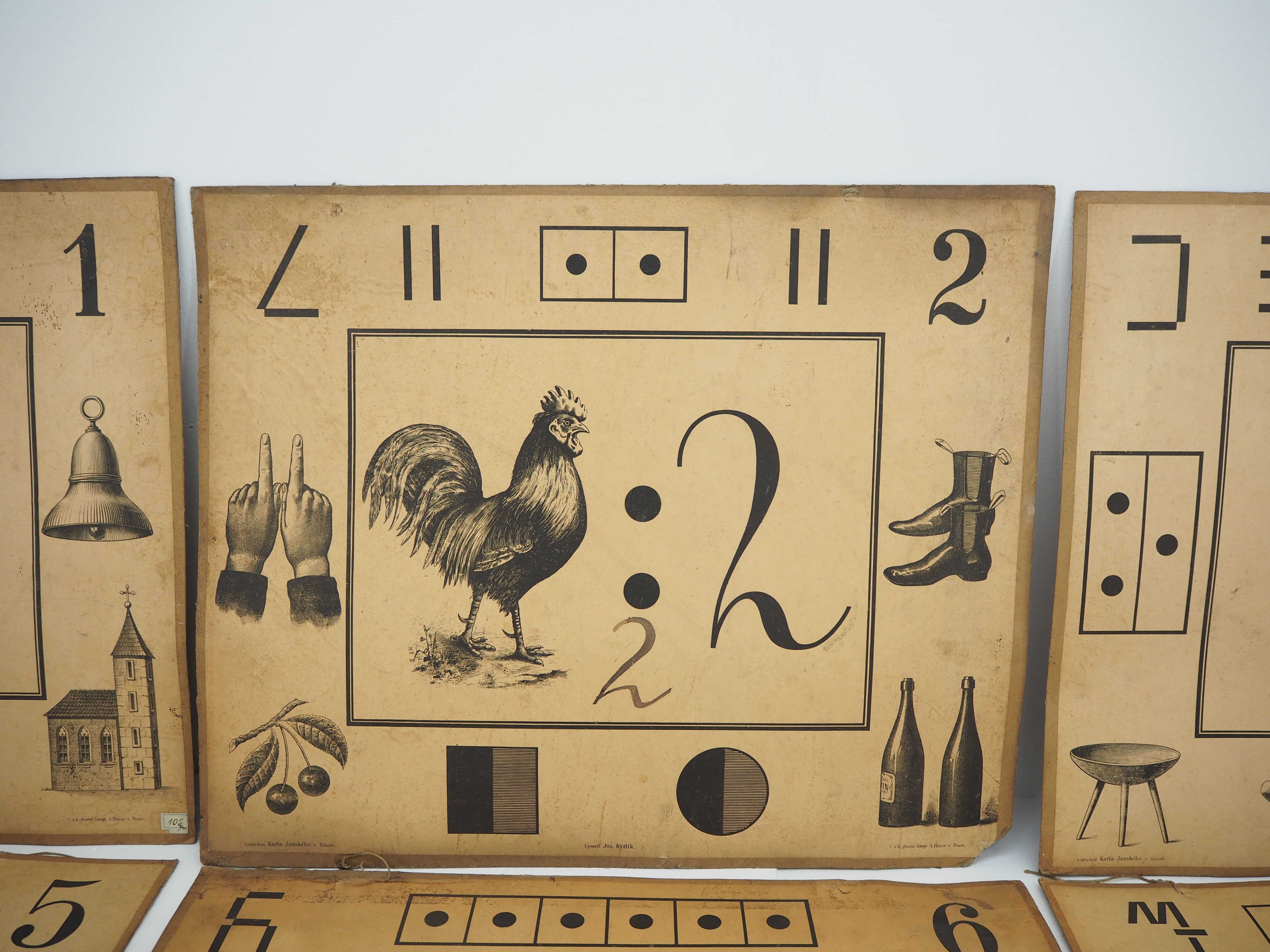 Set Of Nine Antique Teaching Posters from Litography A. Haase, Prague, 1900s