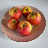 Lot 5 Dishes + 1 saucière Service "Santos" of Villeroy and Boch