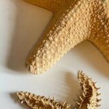Vintage starfish