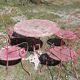 Wrought iron garden furniture