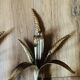 Pair of wheat spike wall lights in gold metal