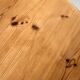 Pine dining set by Rainer Daumiller for Hirtshals Savvaerk, Set of 7