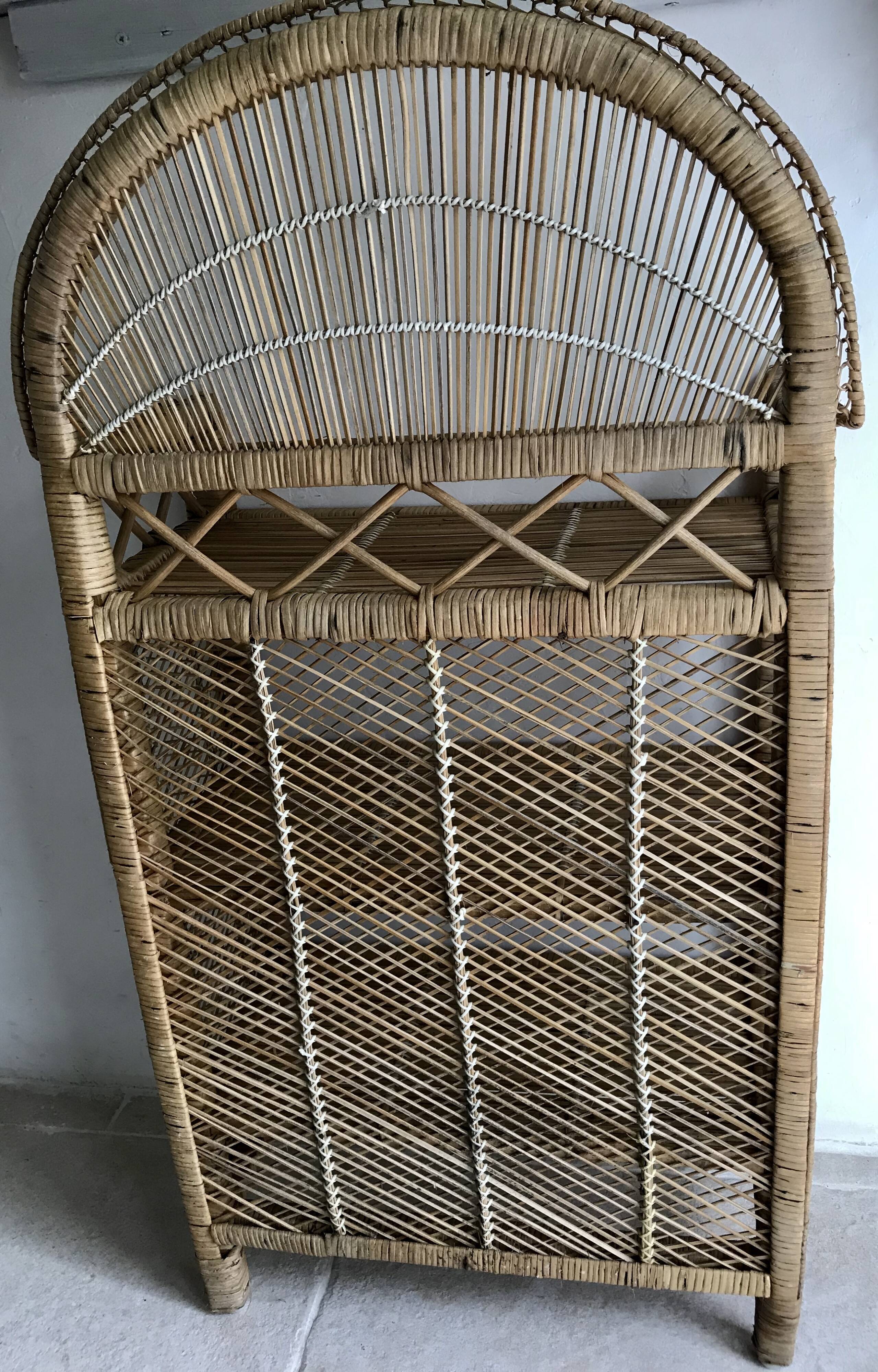 Rattan library
