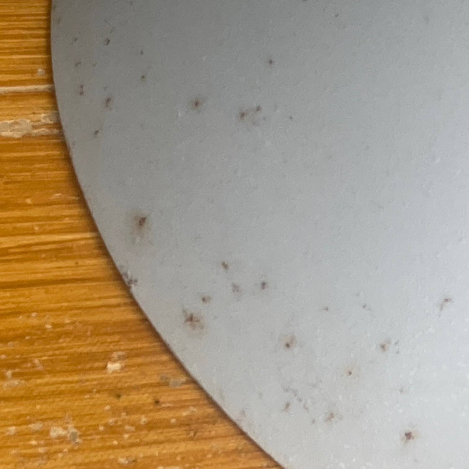 Pair of pendant lights polish design from the 70s