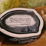 Terrine caugant duck