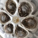 Saint Amand earthenware oyster set: tray and six plates