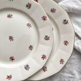 4 assiettes plates fleuries en faïence Digoin Sarreguemines
