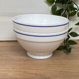 Set of 2 bowls Arcopal