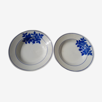 2 hollow plates in Pexonne earthenware 53 blue flower pattern diam 22.5 cm